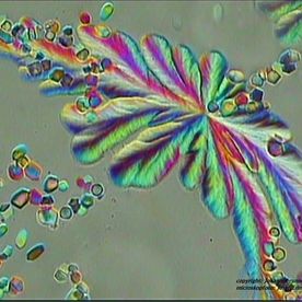 Kristall unter Mikroskop