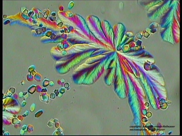 Kristall unter Mikroskop